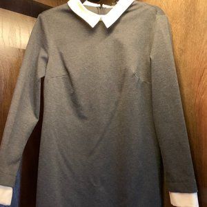 Cynthia Steffe Dark Grey Collared Dress